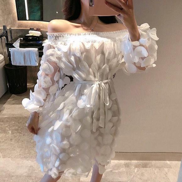 White Rose Petals Sheer Mesh Off Shoulder Dress - Picture 4 of 4
